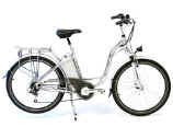 EcoBike Electric Bicycles